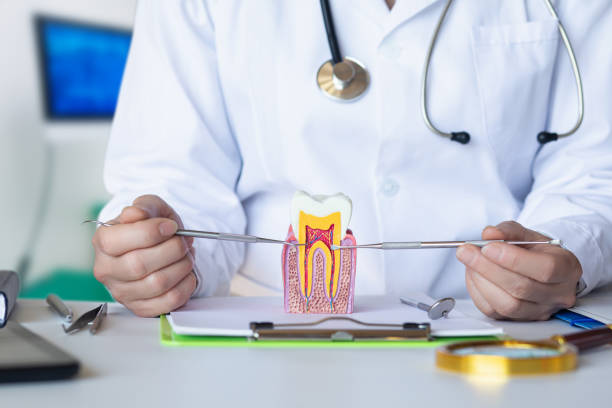 Best Emergency Treatment for Dental Infections or Abscesses in Augusta, ME